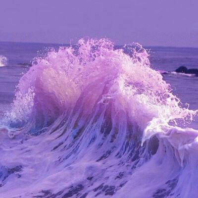 南宫28下载手机版